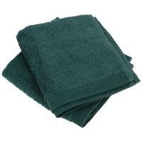 Lot de 2 serviettes invité 30x30 cm 100% coton peigné ALBA kaki