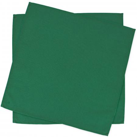 Lot de 2 Set de table carré 45x45 cm DIABOLO vert Sapin traitement teflon