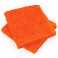 Lot de 2 serviettes invité 30x30 cm 100% coton peigné ALBA butane
