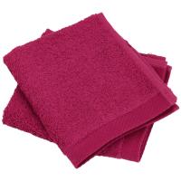 Lot de 2 serviettes invité 30x30 cm 100% coton peigné ALBA prune