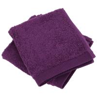 Lot de 2 serviettes invité 30x30 cm 100% coton peigné ALBA violet