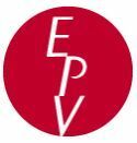 Label EPV, Entreprise du Patrimoine Vivant : métiers de l'artisanat français